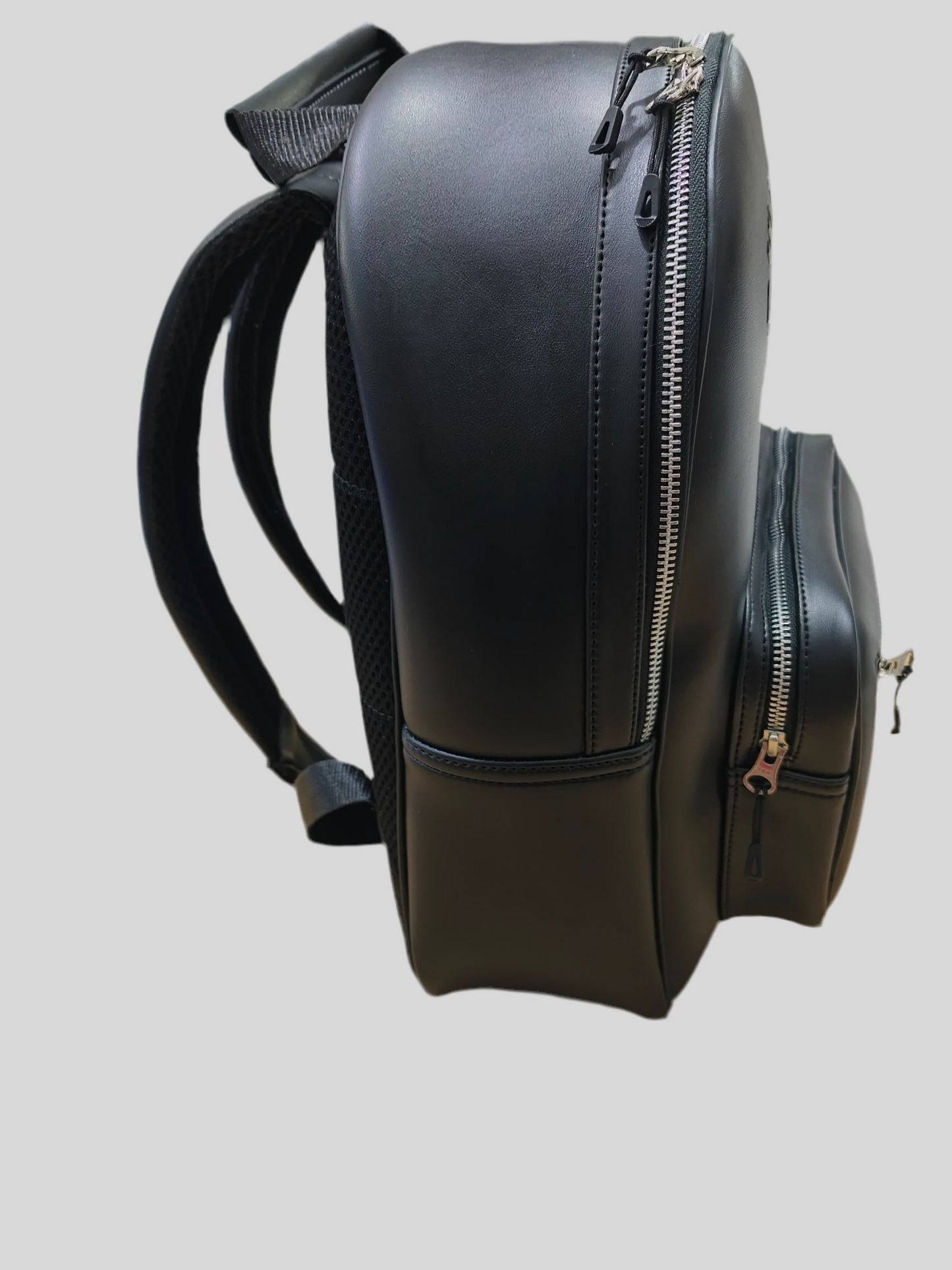 Leather Back Pack